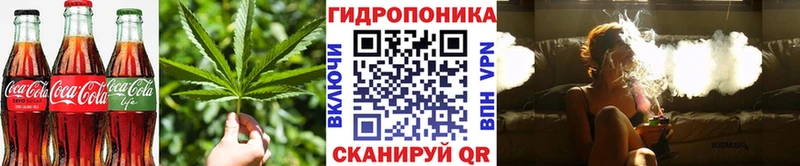 купить наркоту  omg как зайти  Cannafood марихуана  Томск 