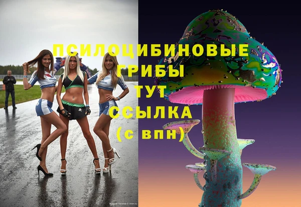 ECSTASY Навашино
